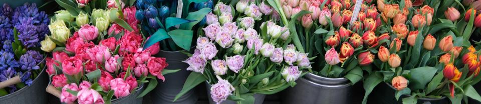 Image principale de l'article Fleuristes : 6 stratégies pour fidéliser vos clients et les faire revenir tout au long de l'année