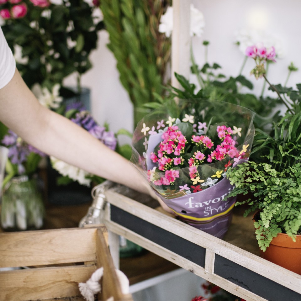 Jardineries articles pour animaux