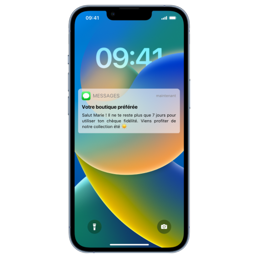 Exemple d'un SMS.